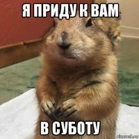 я приду к вам в суботу