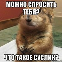 можно спросить тебя? что такое суслик?