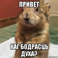 привет каг бодрасць духа?