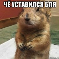 чё уставился бля 