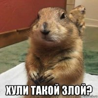  хули такой злой?