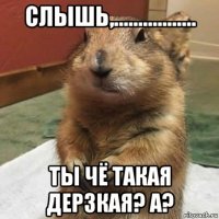 слышь,................. ты чё такая дерзкая? а?