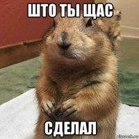 што ты щас сделал