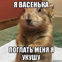 я васенька поглать меня я укушу