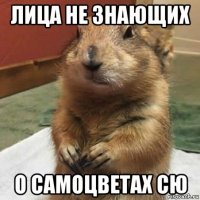 лица не знающих о самоцветах сю