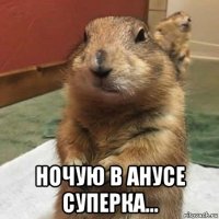  ночую в анусе суперка...