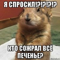 я спросил!?!?!?!? кто сожрал всё печенье?