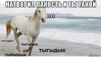 натворил пакость и ты такой 