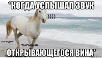 *когда услышал звук открывающегося вина*