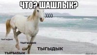 что? шашлык? 