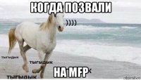 когда позвали на mfp