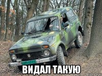  видал такую