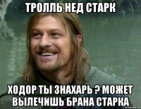 тролль нед старк ходор ты знахарь ? может вылечишь брана старка