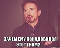  зачем ему понадобился этот гном?....