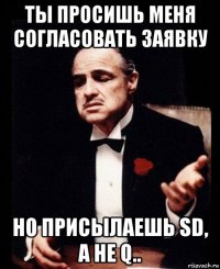 ты просишь меня согласовать заявку но присылаешь sd, а не q..