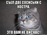 съел две сосиськи с костра. это вам не вискас!