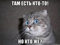 там есть кто-то! но кто же?