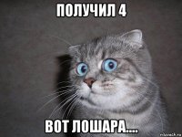 получил 4 вот лошара....