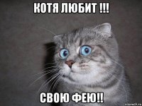 котя любит !!! свою фею!!