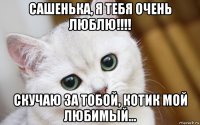 сашенька, я тебя очень люблю!!!! скучаю за тобой, котик мой любимый...