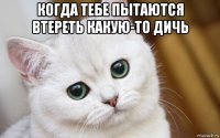 когда тебе пытаются втереть какую-то дичь 