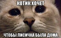 котик хочет чтобы лисичка была дома