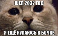 шел 2032 год я ещё купаюсь в бочке