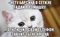 - нету барсика в сети,не гадай в ромашку. _ отключил свой телефон,- значит ты не няшка