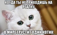 когда ты не приходишь на реалку в мире грустит один котик