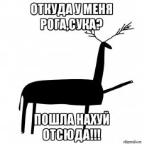 откуда у меня рога,сука? пошла нахуй отсюда!!!