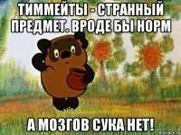 тиммейты - странный предмет. вроде бы норм а мозгов сука нет!