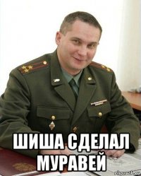  шиша сделал муравей