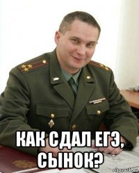  как сдал егэ, сынок?