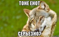 тоне енот серьезно?