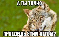 а ты точно приедешь этим летом?