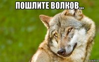 пошлите волков... 