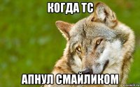 когда тс апнул смайликом