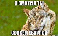 я смотрю ты совсем ебнулся