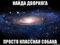 найда дворняга просто классная собака