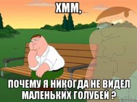 хмм, почему я никогда не видел маленьких голубей ?