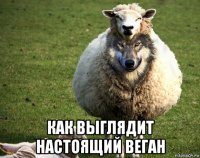  как выглядит настоящий веган