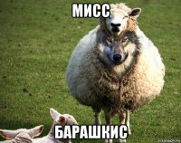 мисс барашкис