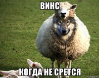 винс когда не срется