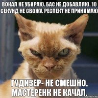 Вокал не убираю. Бас не добавляю. 10 секунд не свожу. Респект не принимаю Гудизер- не смешно. Мастеренк не качал.