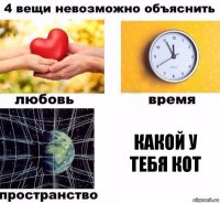 какой у тебя кот