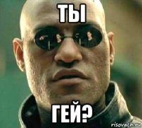 ты гей?