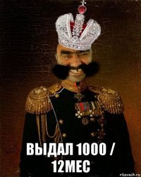  выдал 1000 / 12мес