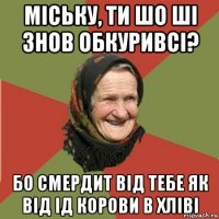 міську, ти шо ші знов обкуривсі? бо смердит від тебе як від ід корови в хліві