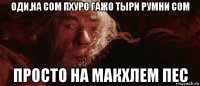 оди,на сом пхуро гажо тыри румни сом просто на макхлем пес