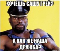 хочешь сашу грей? а как же наша дружба?